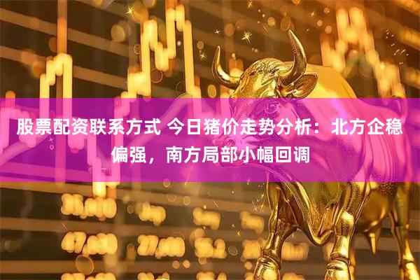 股票配资联系方式 今日猪价走势分析：北方企稳偏强，南方局部小幅回调