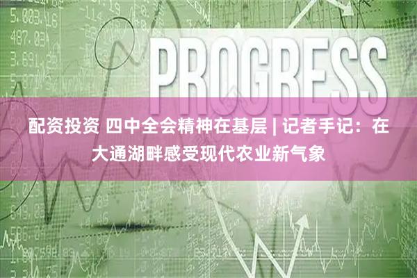 配资投资 四中全会精神在基层 | 记者手记：在大通湖畔感受现代农业新气象
