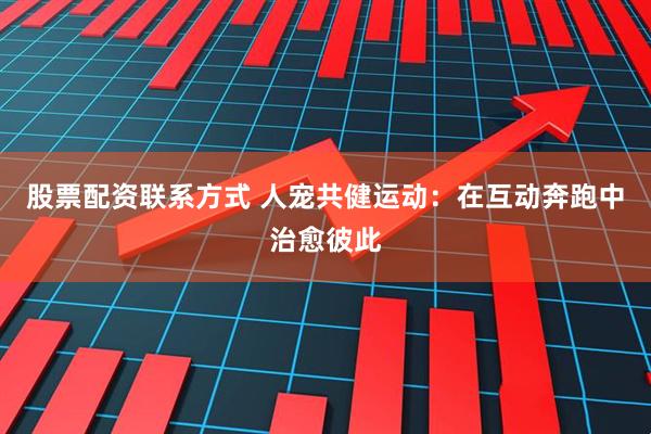 股票配资联系方式 人宠共健运动：在互动奔跑中治愈彼此